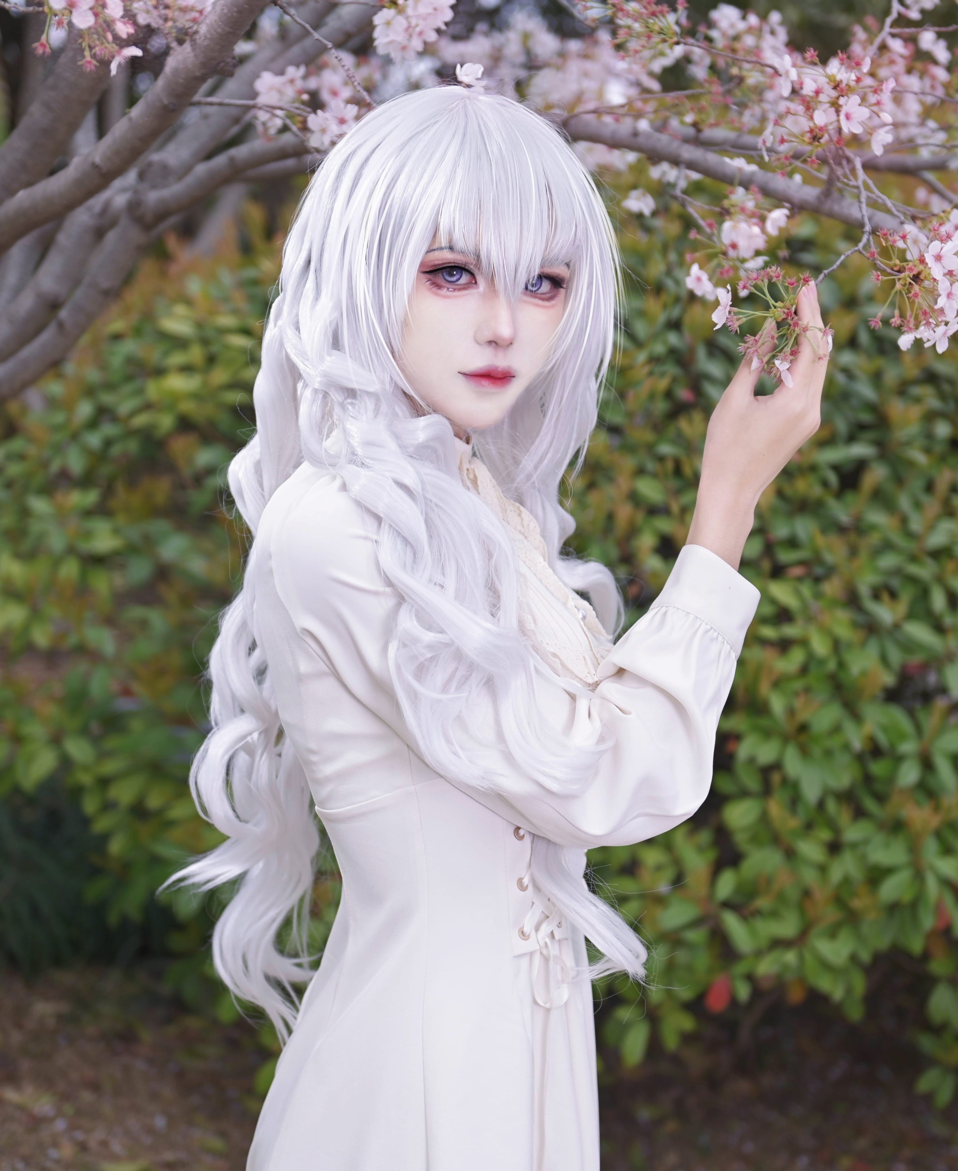Cherry Trees
